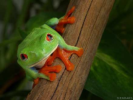 uslugi budowlane Pila