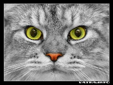 firma budowlana w Pile