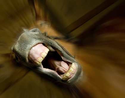 Pila firma remontowa