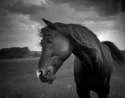 biura podróży Pila