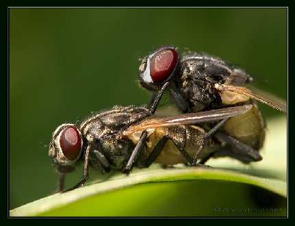 biuro turystyczne Piła