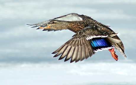 biuro podróży Piła