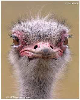 remont mieszkania Piła