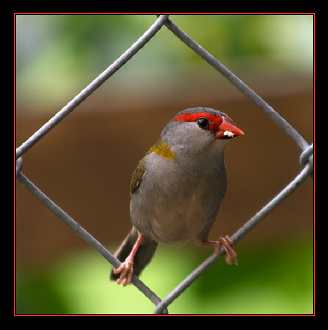 firmy remontowe Piła