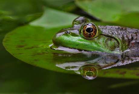 wykańczanie wnętrz Piła