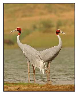 księgowość Wrocław