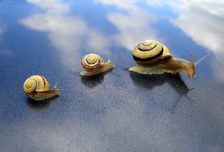 księgowość Wrocław