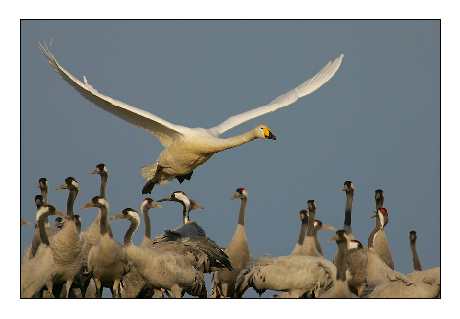 biuro podróży Piła ceny