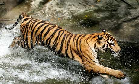 firma remontowa Pila