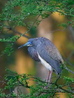 wykończenia wnętrz Piła