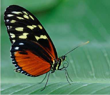 remont mieszkania Pila