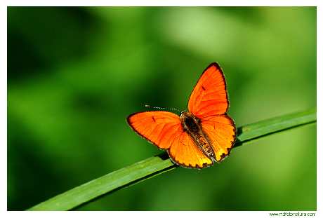 tapety ścienne sklep internetowy tapety ścienne sklep internetowy