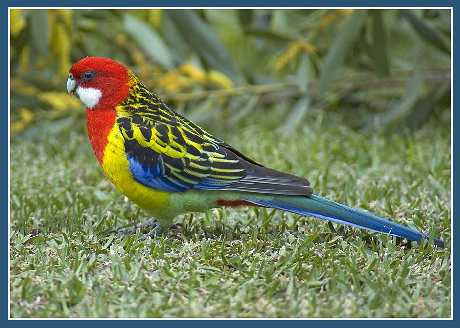 Piła biura podróży