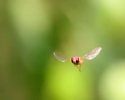 biura podróży Pila