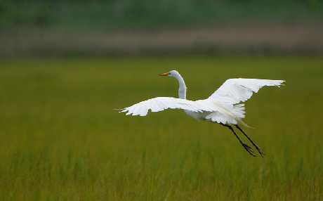 remonty domów Piła