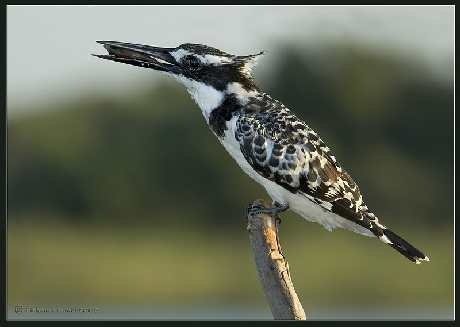 remonty łazienek Piła