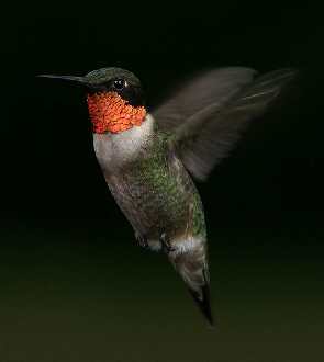 biuro podróży Piła