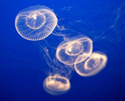 hurtownia odzieży używanej