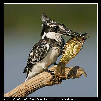 biuro podróży Piła godne