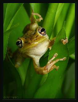 firma remontowa w Pile