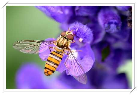 firma budowlana Czarnków